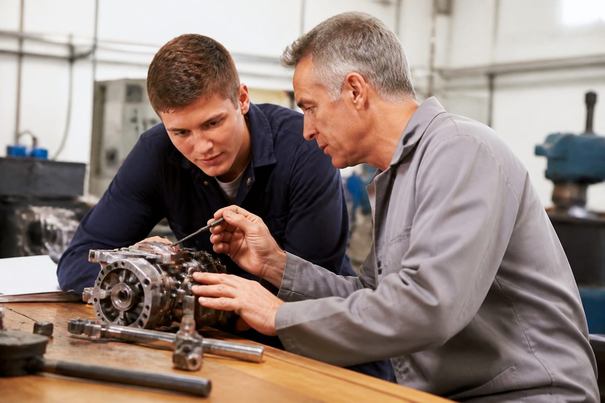 finding work in bayswater: local employers, apprenticeships and training pathways